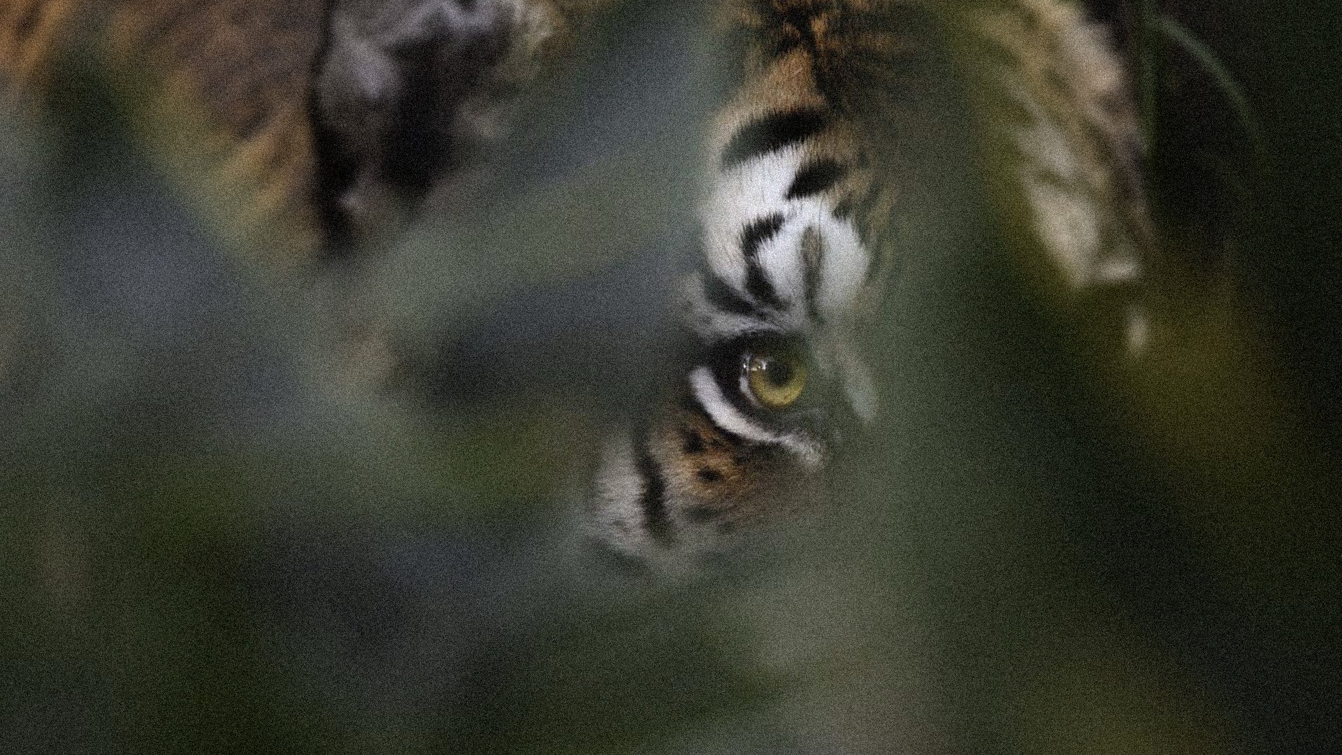 Palo Alto全球首个基于机器学习的新一代防火墙